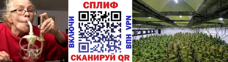 Купить  Нефтегорск  Бошки Шишки SATIVA & INDICA 